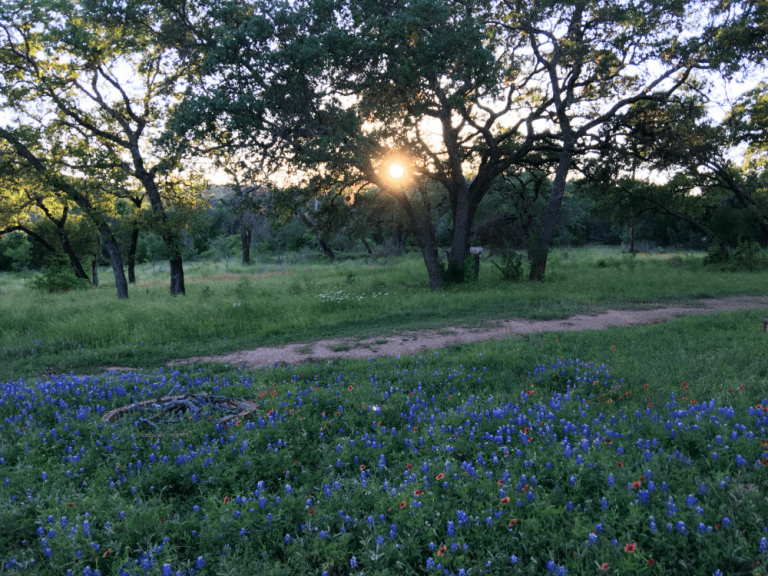Why I Love Living in the Texas Hill Country
