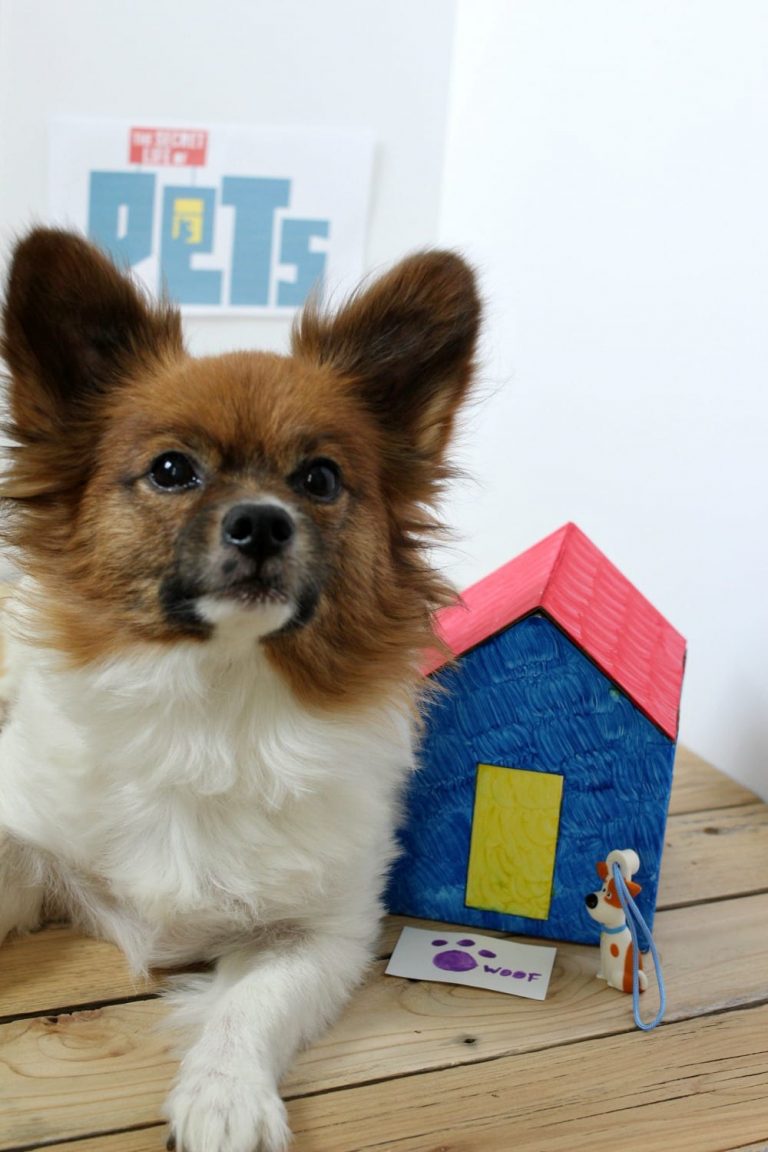 General Mills Big G Cereals + The Secret Life of Pets Exclusive Collectibles