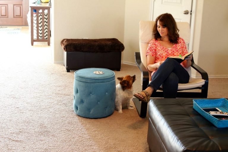 How to Keep a Clean Home and Your Family Healthy