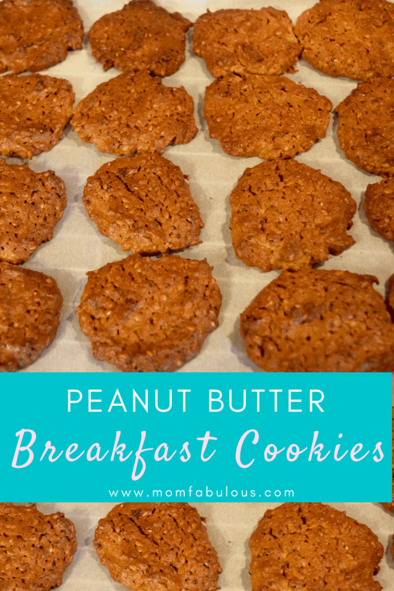 Delicious Peanut Butter Breakfast Cookies Recipe