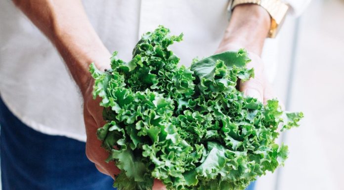Kale Chips Recipe (Plus How You Can Get Your Family To Eat More Of This Superfood)