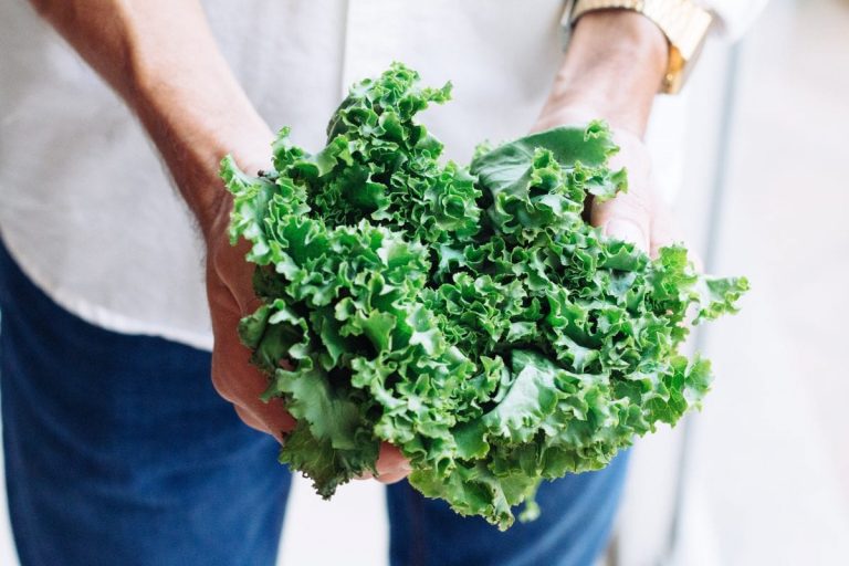 Kale Chips Recipe (Plus How You Can Get Your Family To Eat More Of This Superfood)