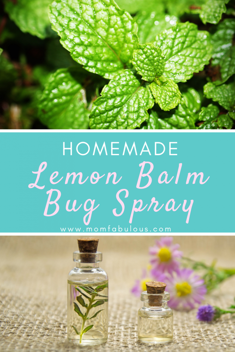 Homemade Lemon Balm Bug Spray
