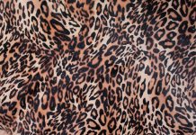leopard print fashion