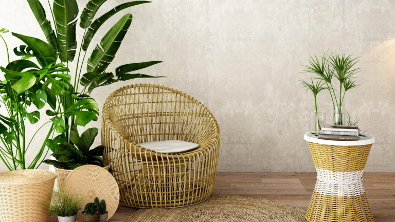 houseplants, low maintenance plants, in house plants, plants, low maintenance houseplants